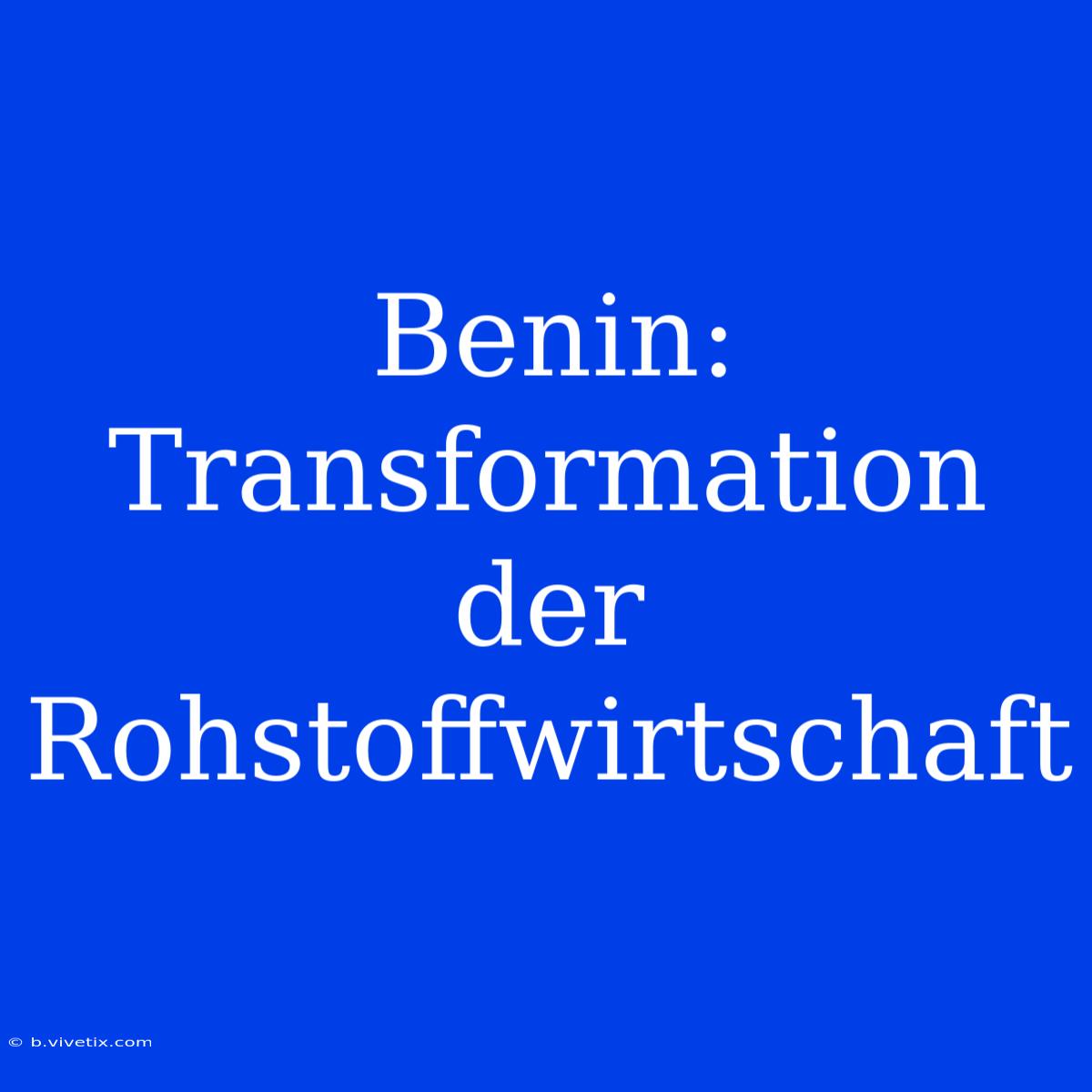 Benin: Transformation Der Rohstoffwirtschaft