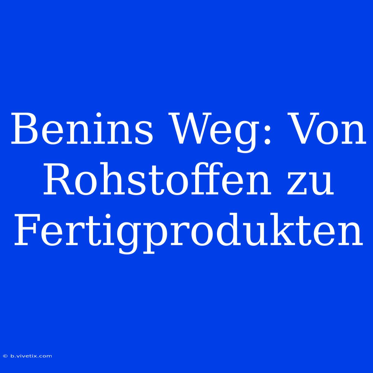 Benins Weg: Von Rohstoffen Zu Fertigprodukten