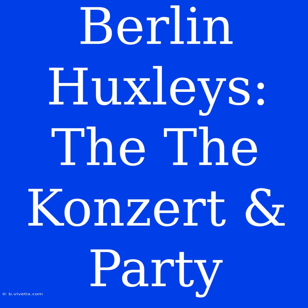 Berlin Huxleys: The The Konzert & Party