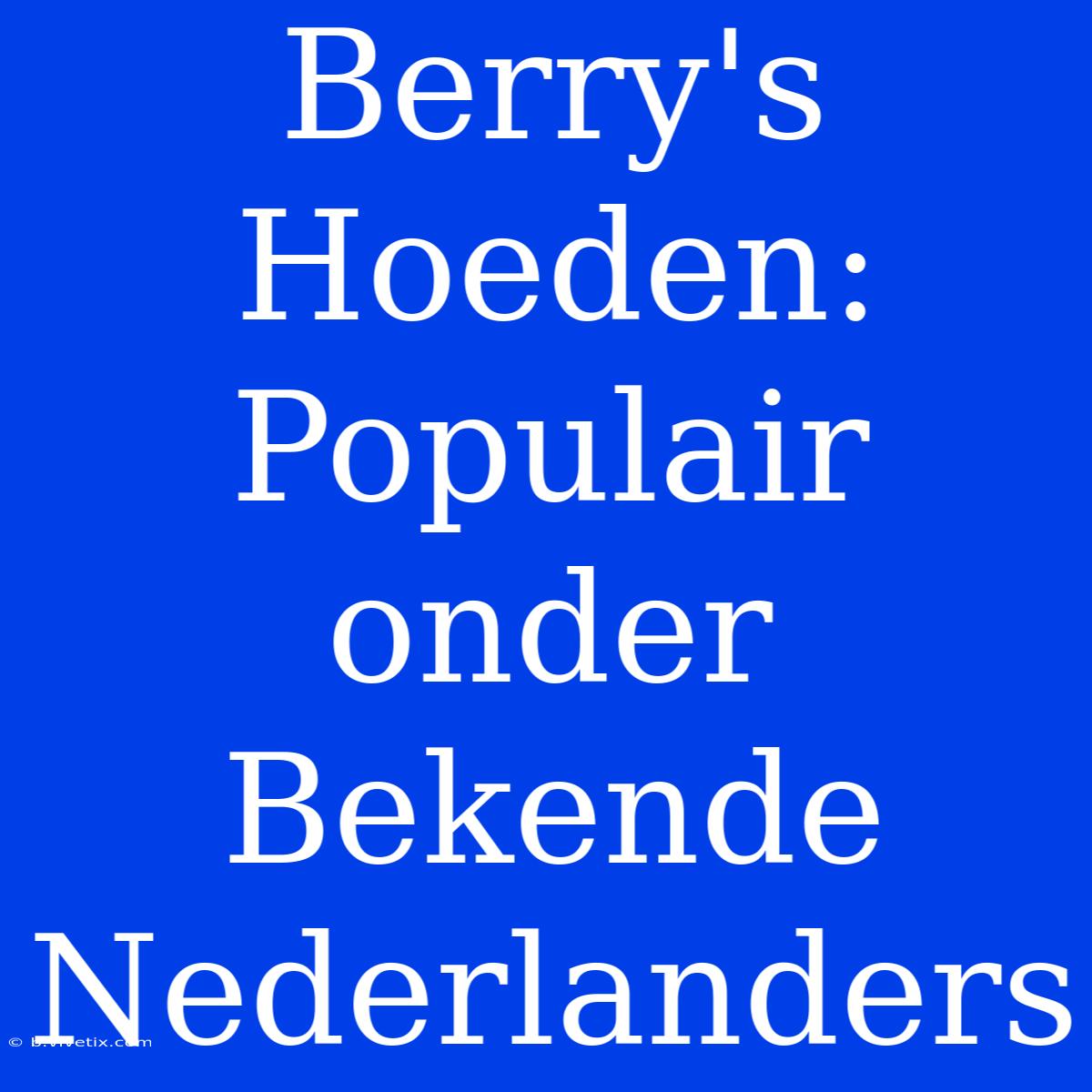 Berry's Hoeden: Populair Onder Bekende Nederlanders