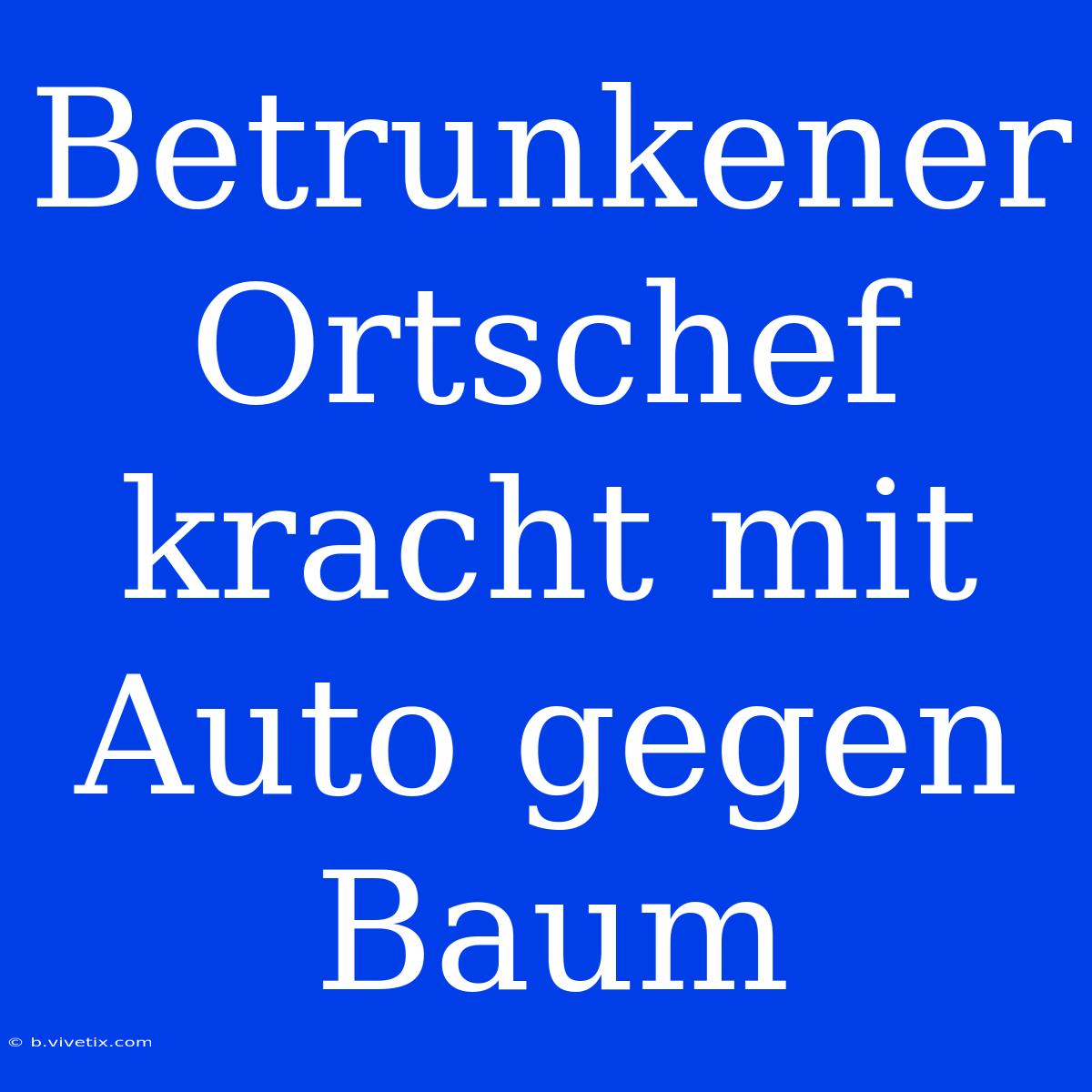 Betrunkener Ortschef Kracht Mit Auto Gegen Baum