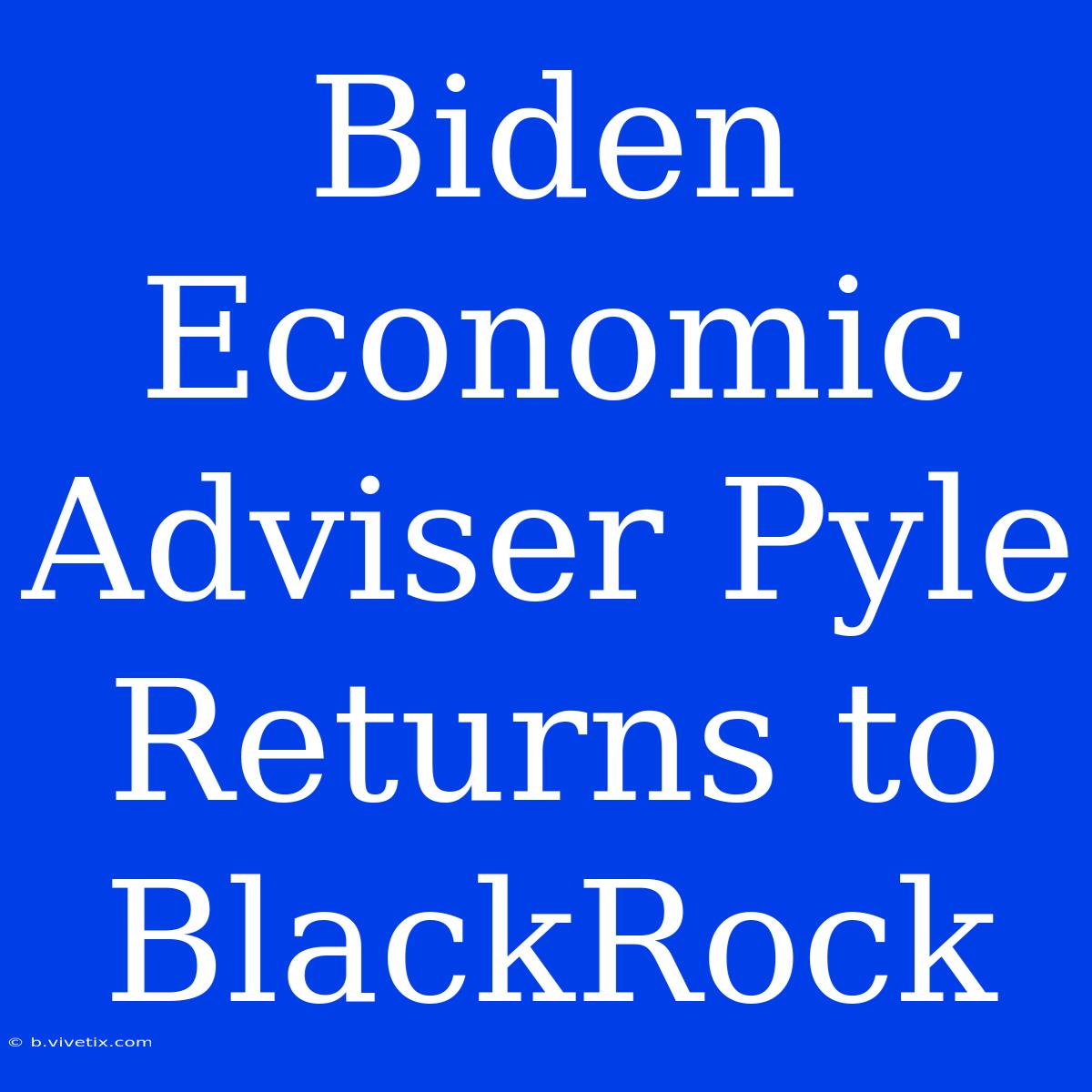 Biden Economic Adviser Pyle Returns To BlackRock