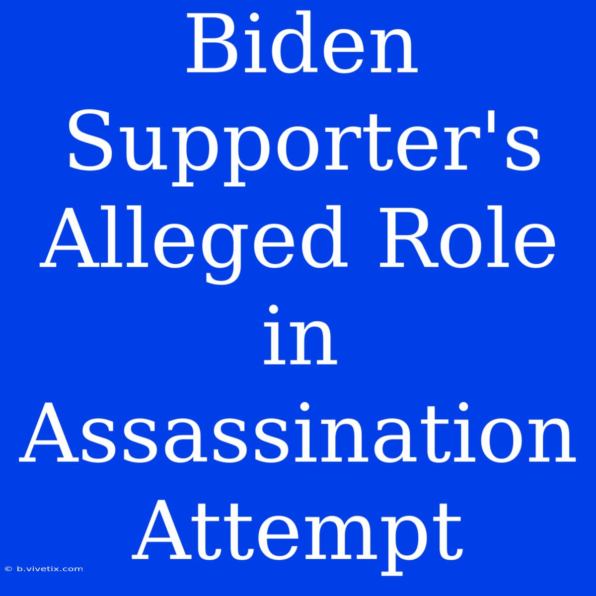 Biden Supporter's Alleged Role In Assassination Attempt