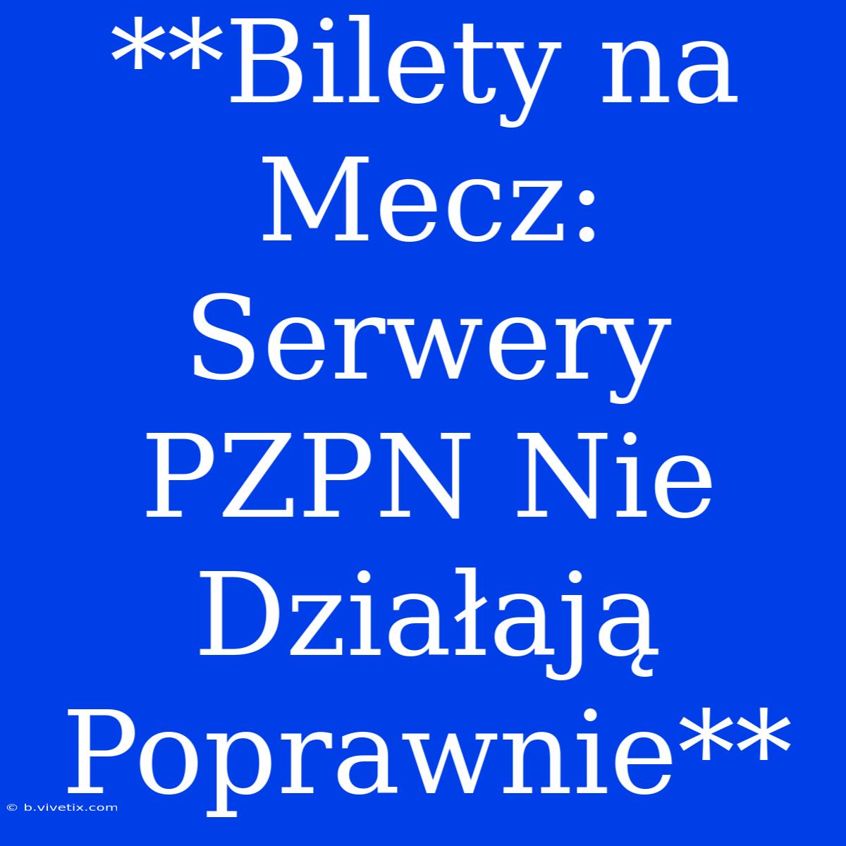 **Bilety Na Mecz: Serwery PZPN Nie Działają Poprawnie**