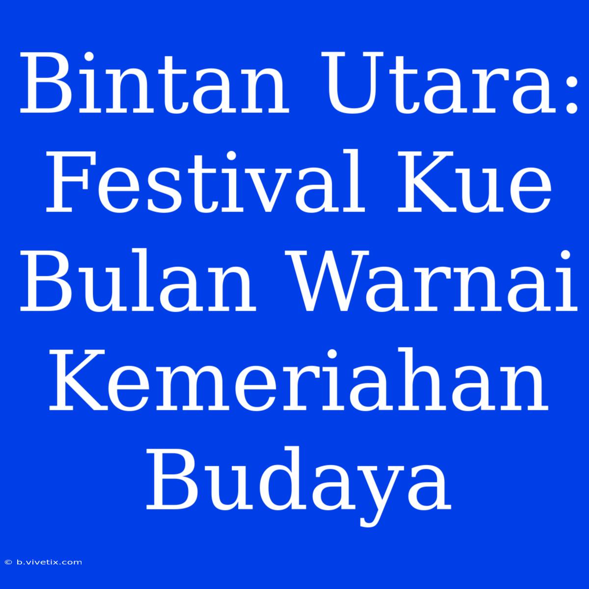 Bintan Utara: Festival Kue Bulan Warnai Kemeriahan Budaya