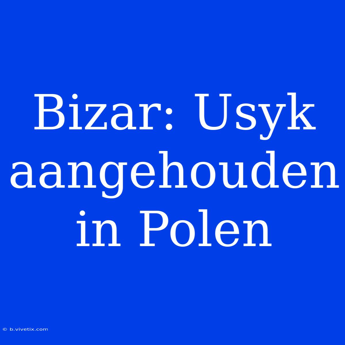 Bizar: Usyk Aangehouden In Polen