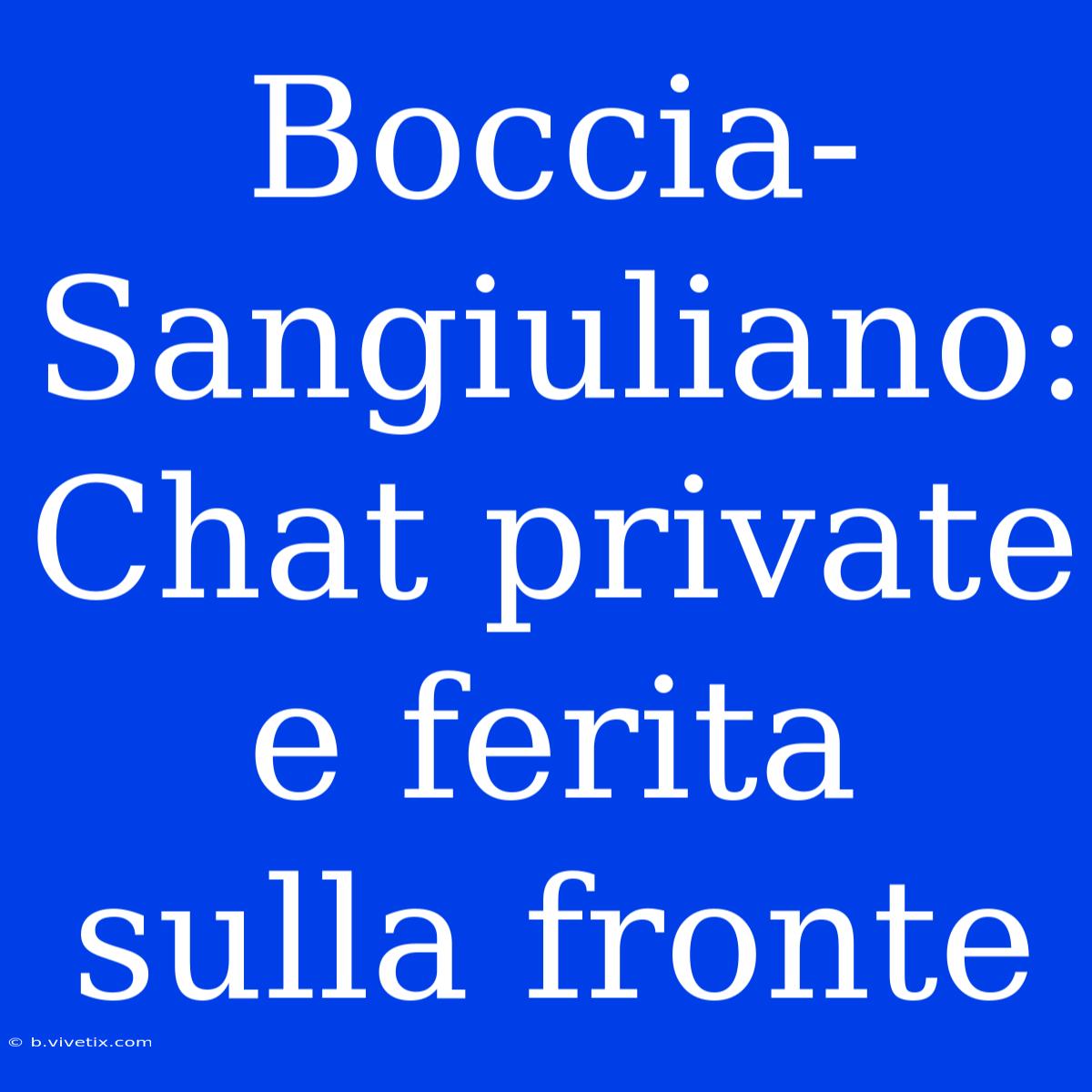 Boccia-Sangiuliano: Chat Private E Ferita Sulla Fronte