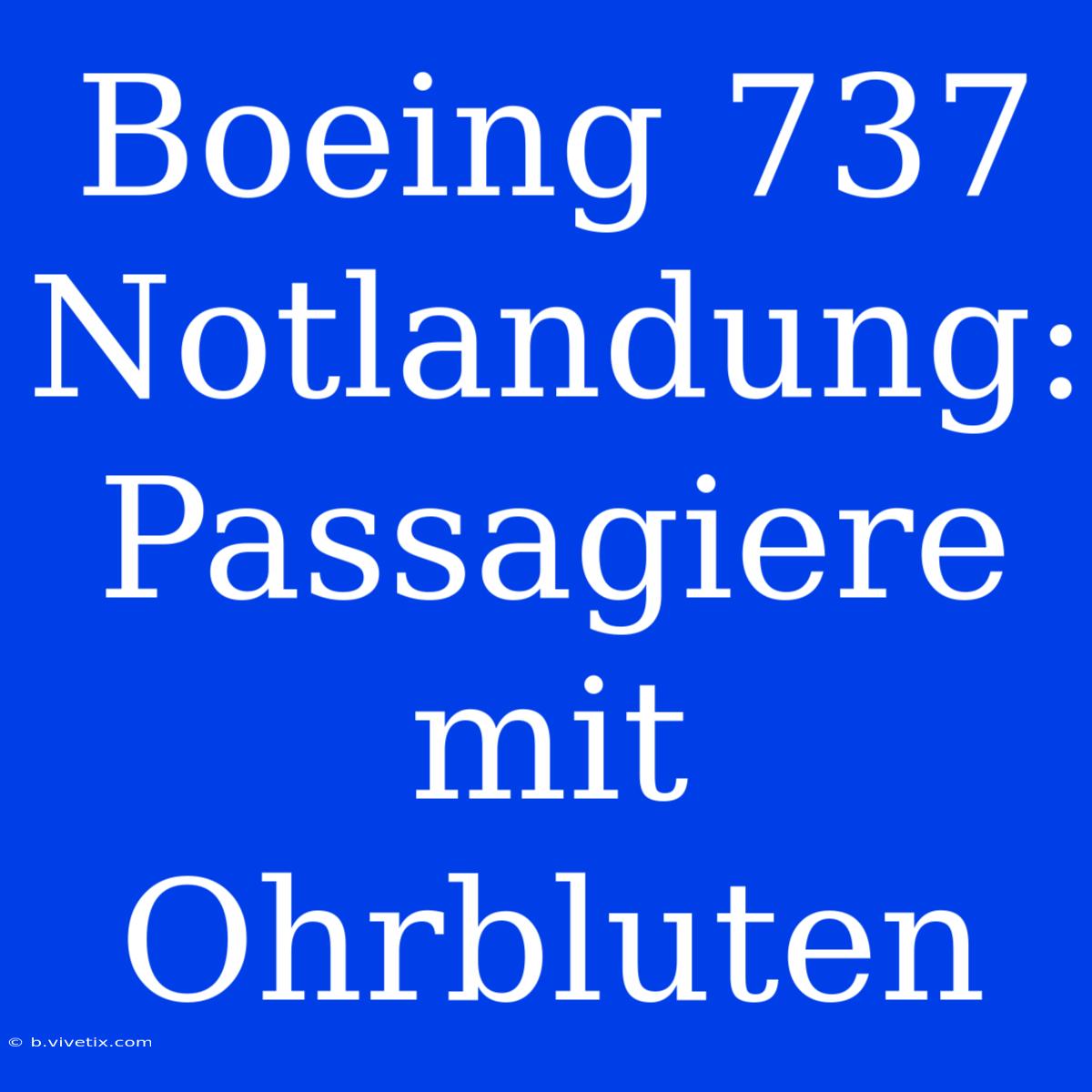 Boeing 737 Notlandung: Passagiere Mit Ohrbluten