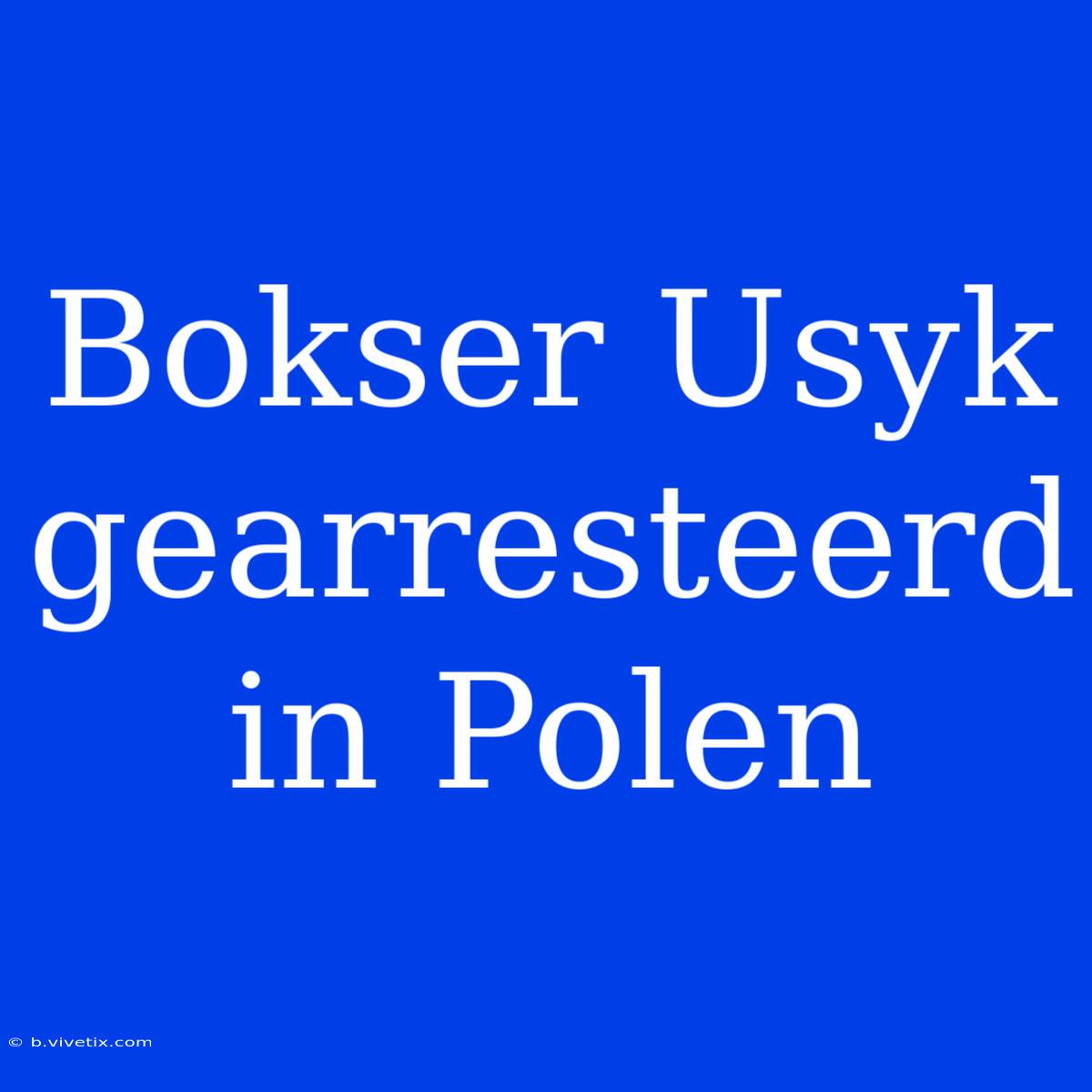 Bokser Usyk Gearresteerd In Polen