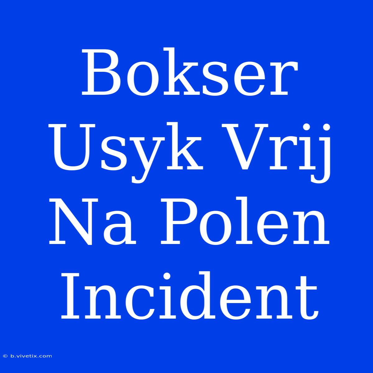 Bokser Usyk Vrij Na Polen Incident