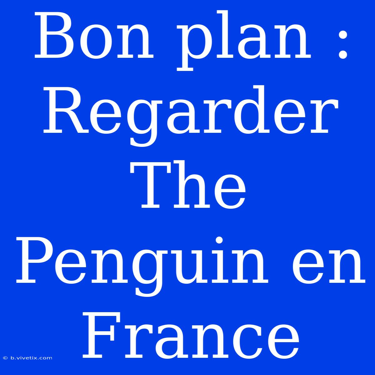 Bon Plan : Regarder The Penguin En France