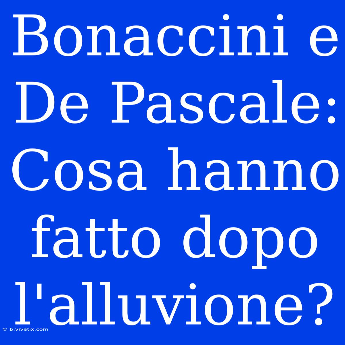 Bonaccini E De Pascale: Cosa Hanno Fatto Dopo L'alluvione?