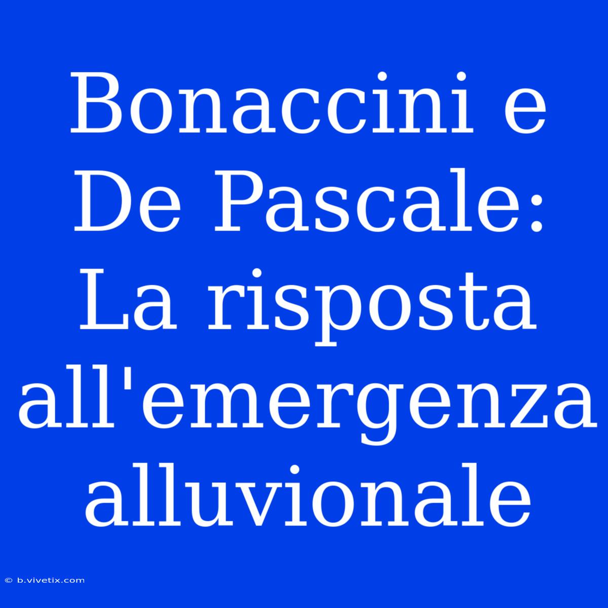 Bonaccini E De Pascale: La Risposta All'emergenza Alluvionale