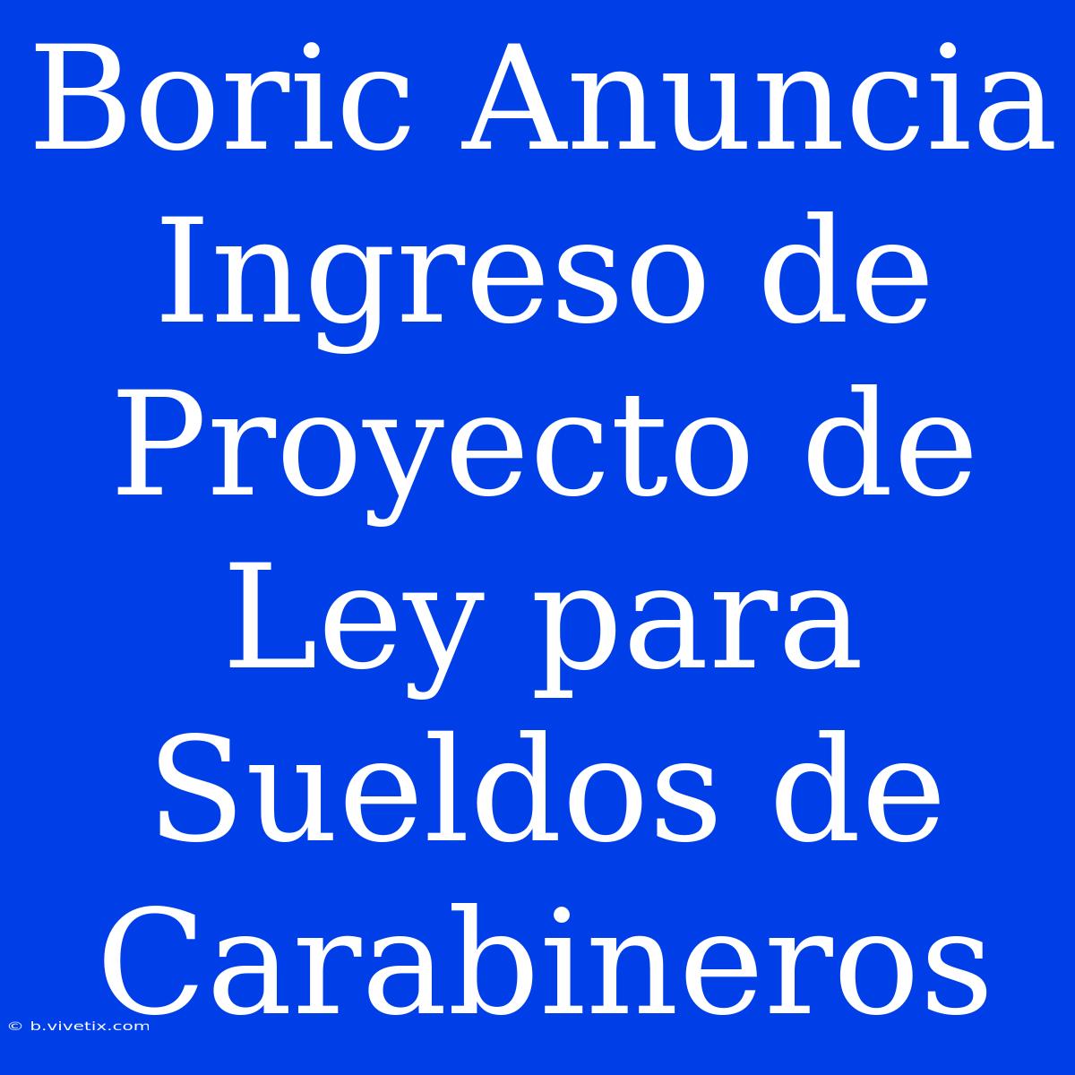 Boric Anuncia Ingreso De Proyecto De Ley Para Sueldos De Carabineros