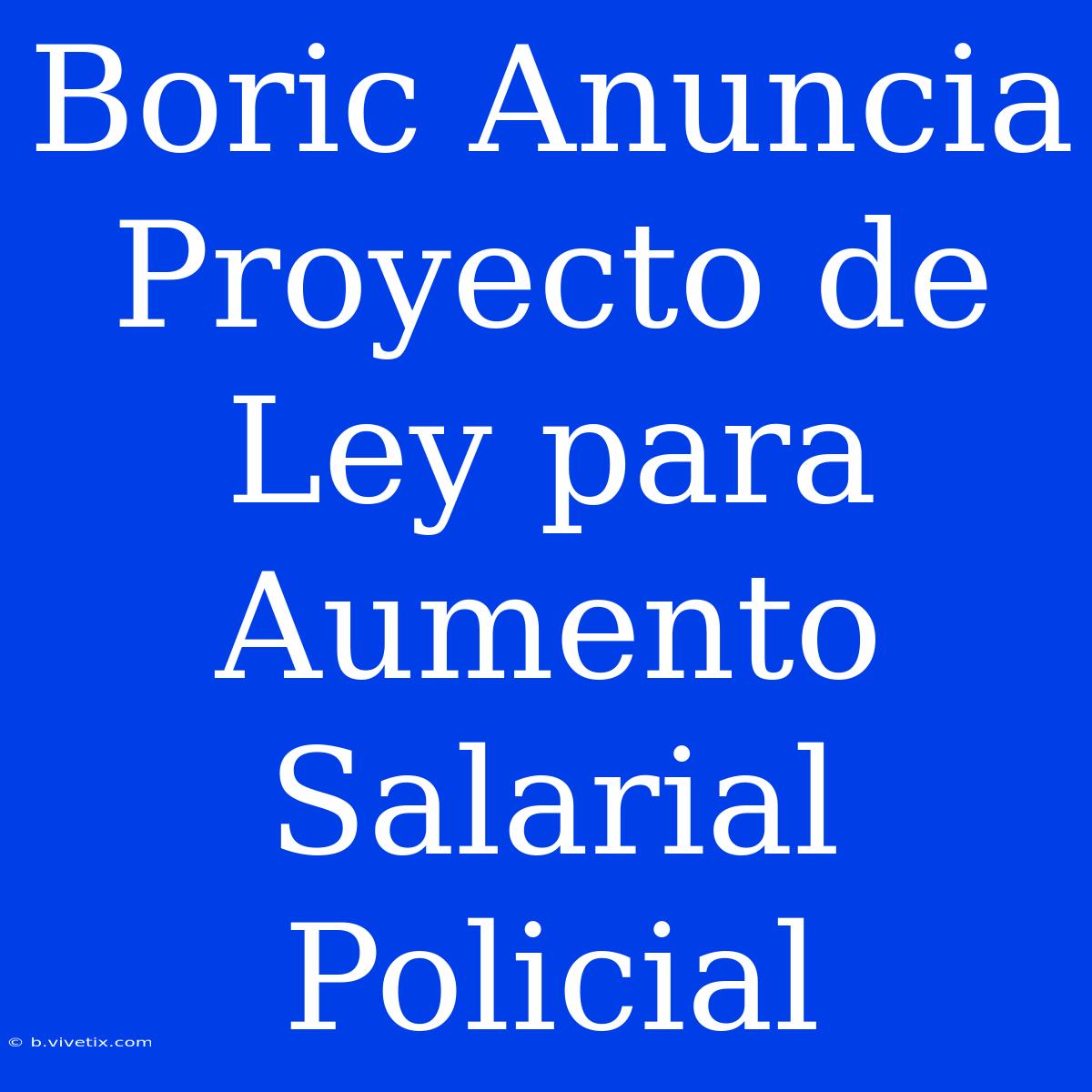 Boric Anuncia Proyecto De Ley Para Aumento Salarial Policial