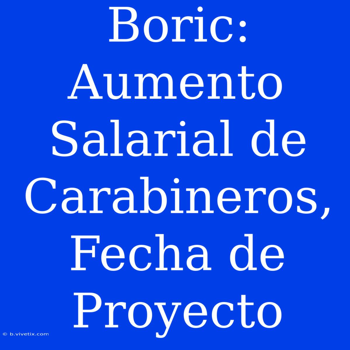 Boric: Aumento Salarial De Carabineros, Fecha De Proyecto