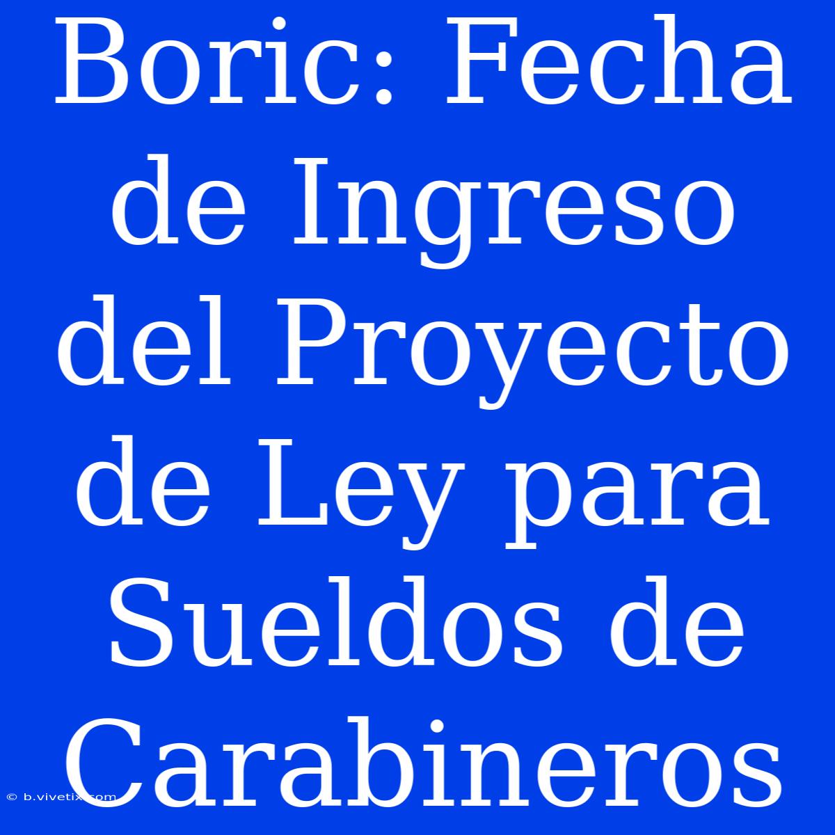 Boric: Fecha De Ingreso Del Proyecto De Ley Para Sueldos De Carabineros