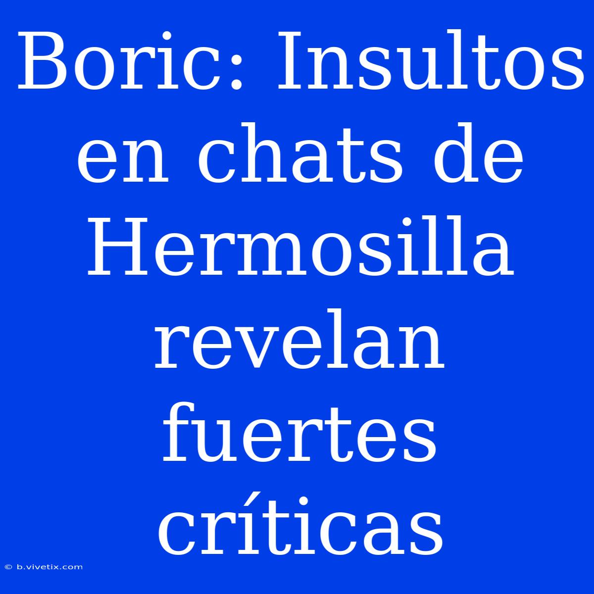 Boric: Insultos En Chats De Hermosilla Revelan Fuertes Críticas