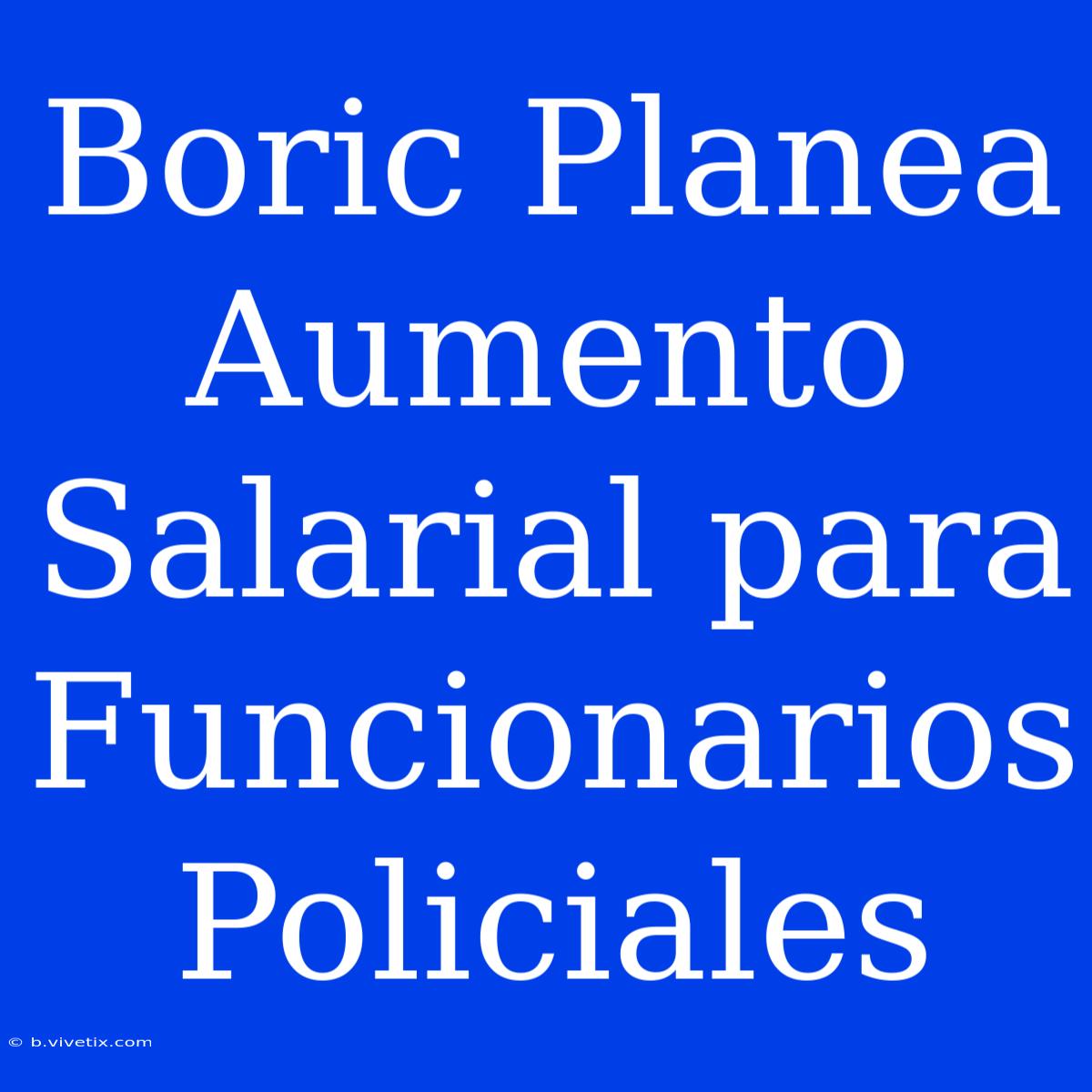 Boric Planea Aumento Salarial Para Funcionarios Policiales