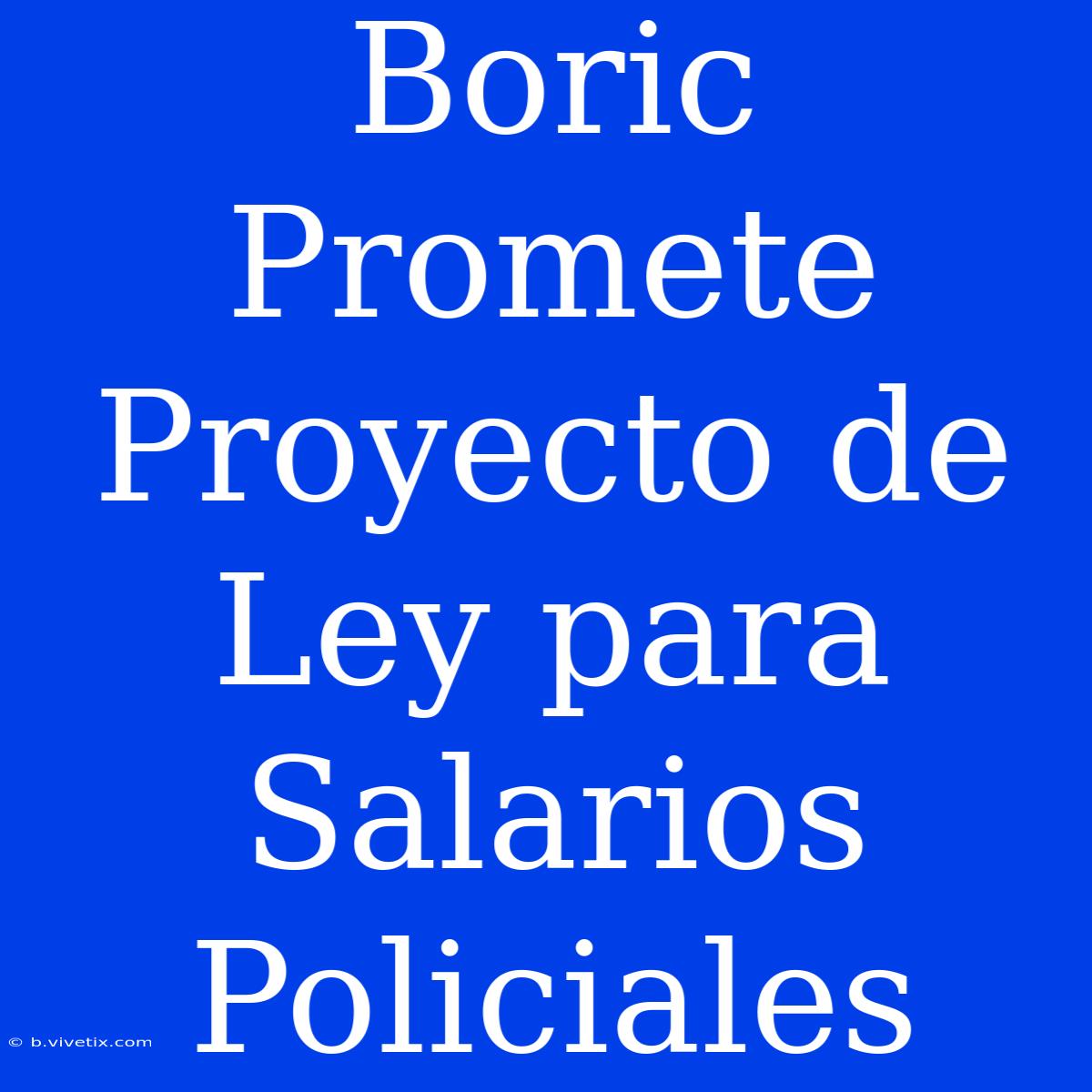 Boric Promete Proyecto De Ley Para Salarios Policiales