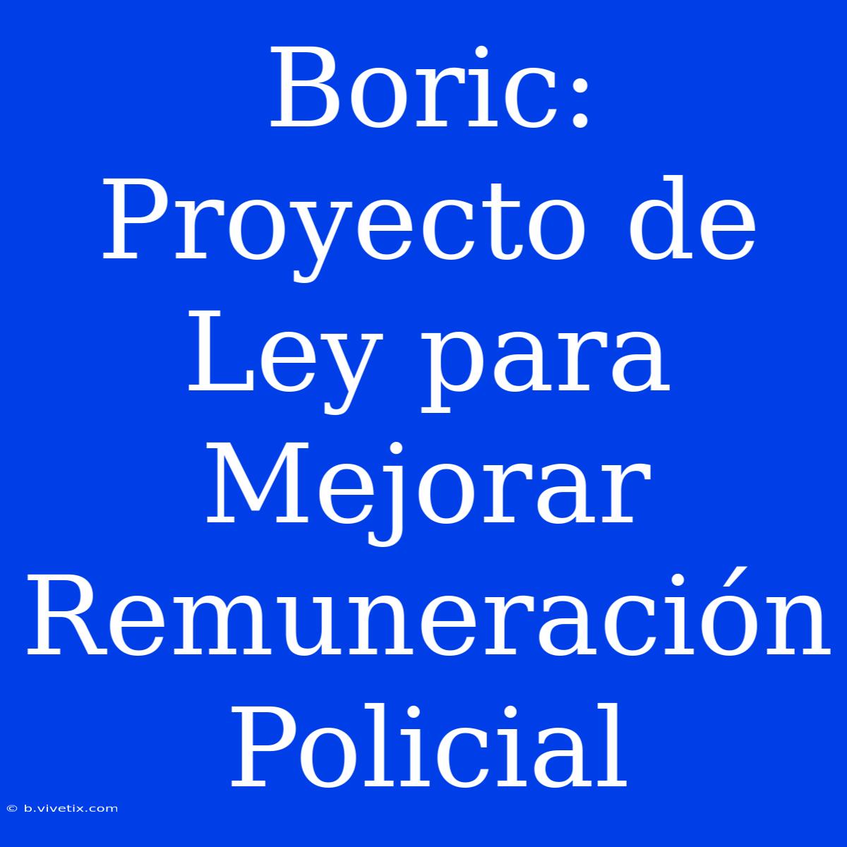 Boric: Proyecto De Ley Para Mejorar Remuneración Policial