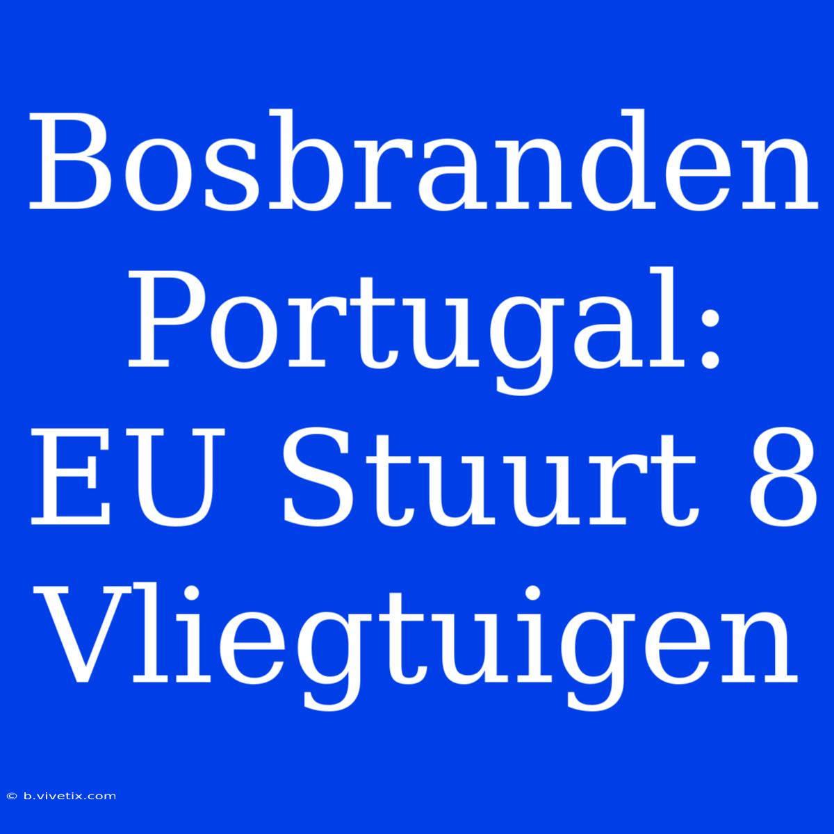 Bosbranden Portugal: EU Stuurt 8 Vliegtuigen