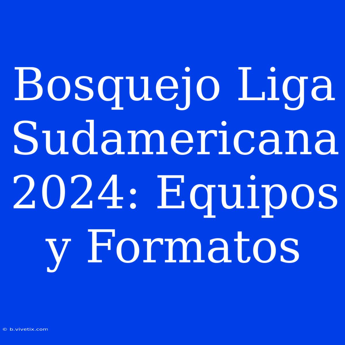 Bosquejo Liga Sudamericana 2024: Equipos Y Formatos