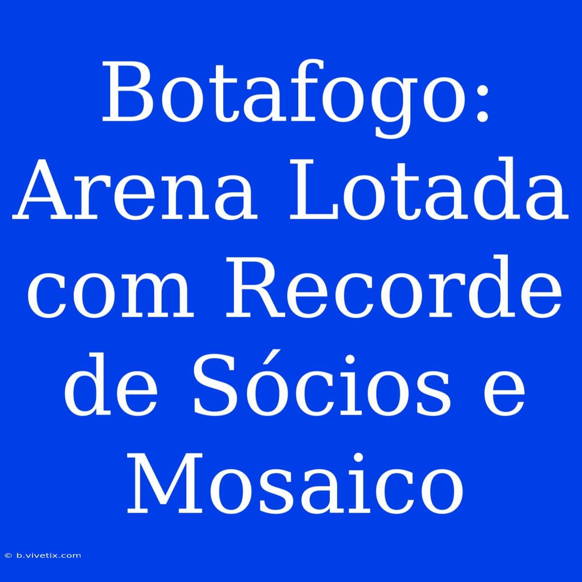 Botafogo: Arena Lotada Com Recorde De Sócios E Mosaico