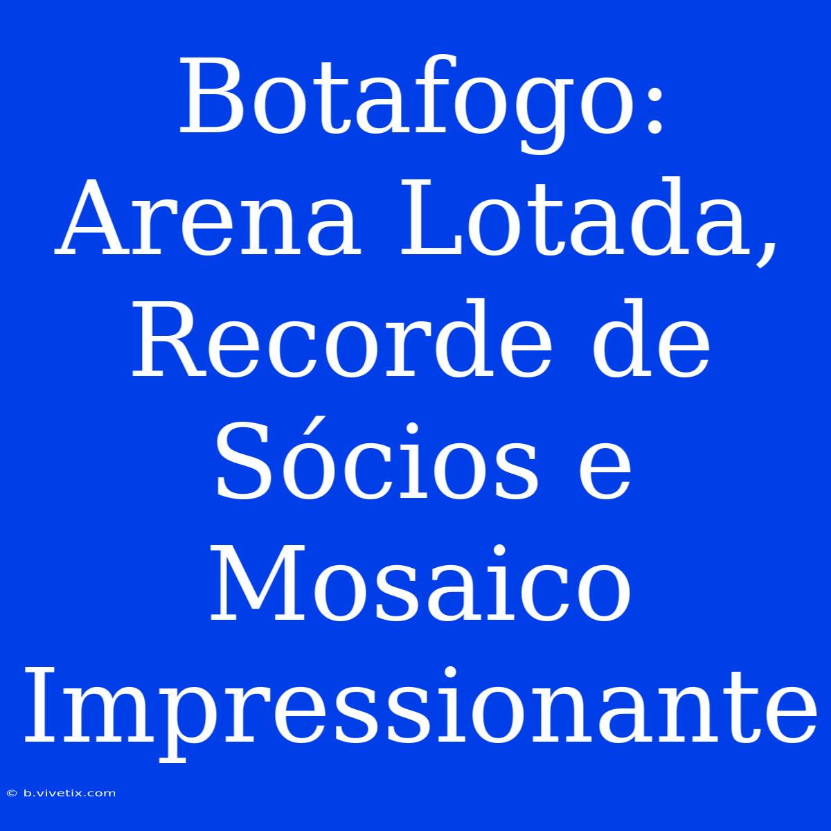 Botafogo: Arena Lotada, Recorde De Sócios E Mosaico Impressionante 