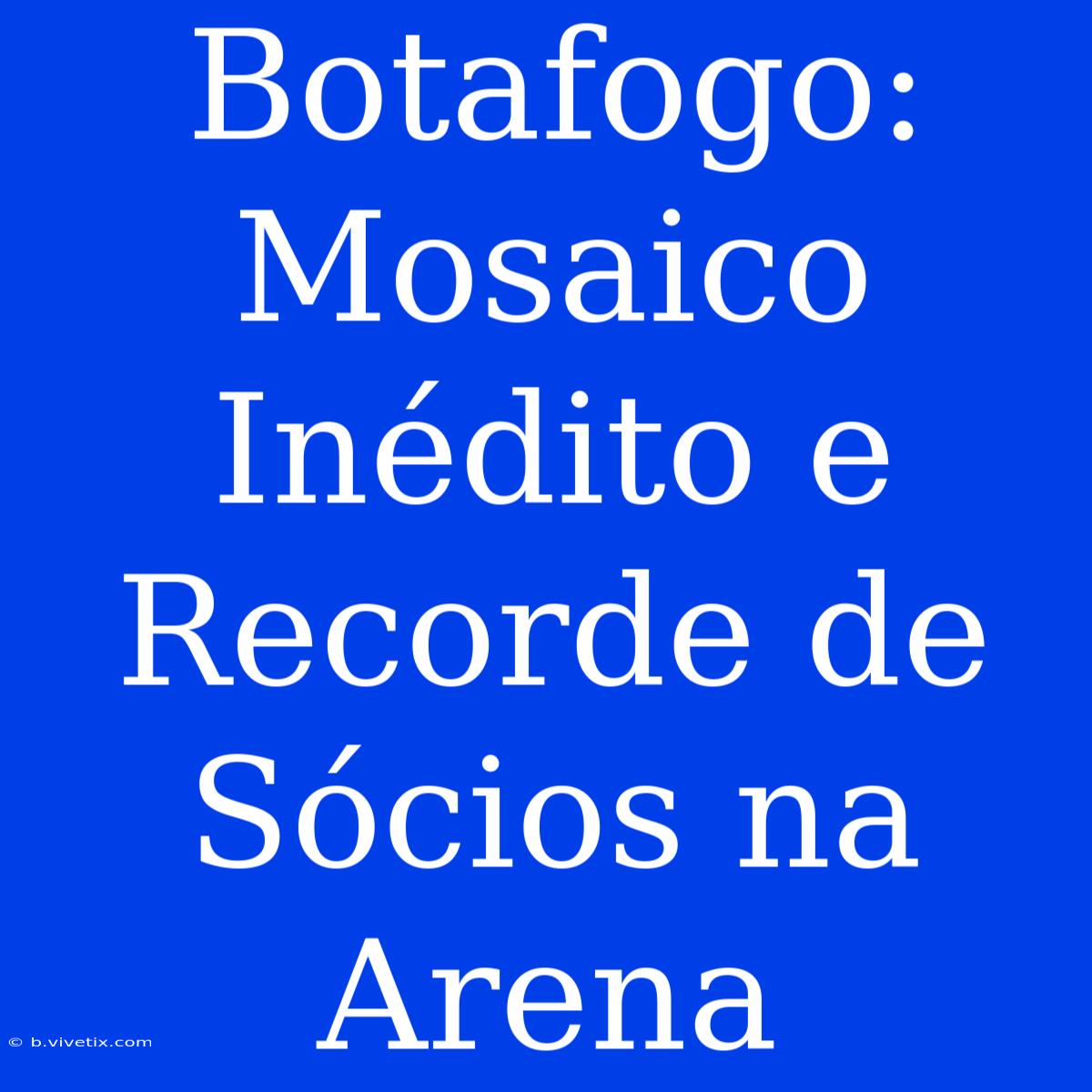 Botafogo: Mosaico Inédito E Recorde De Sócios Na Arena