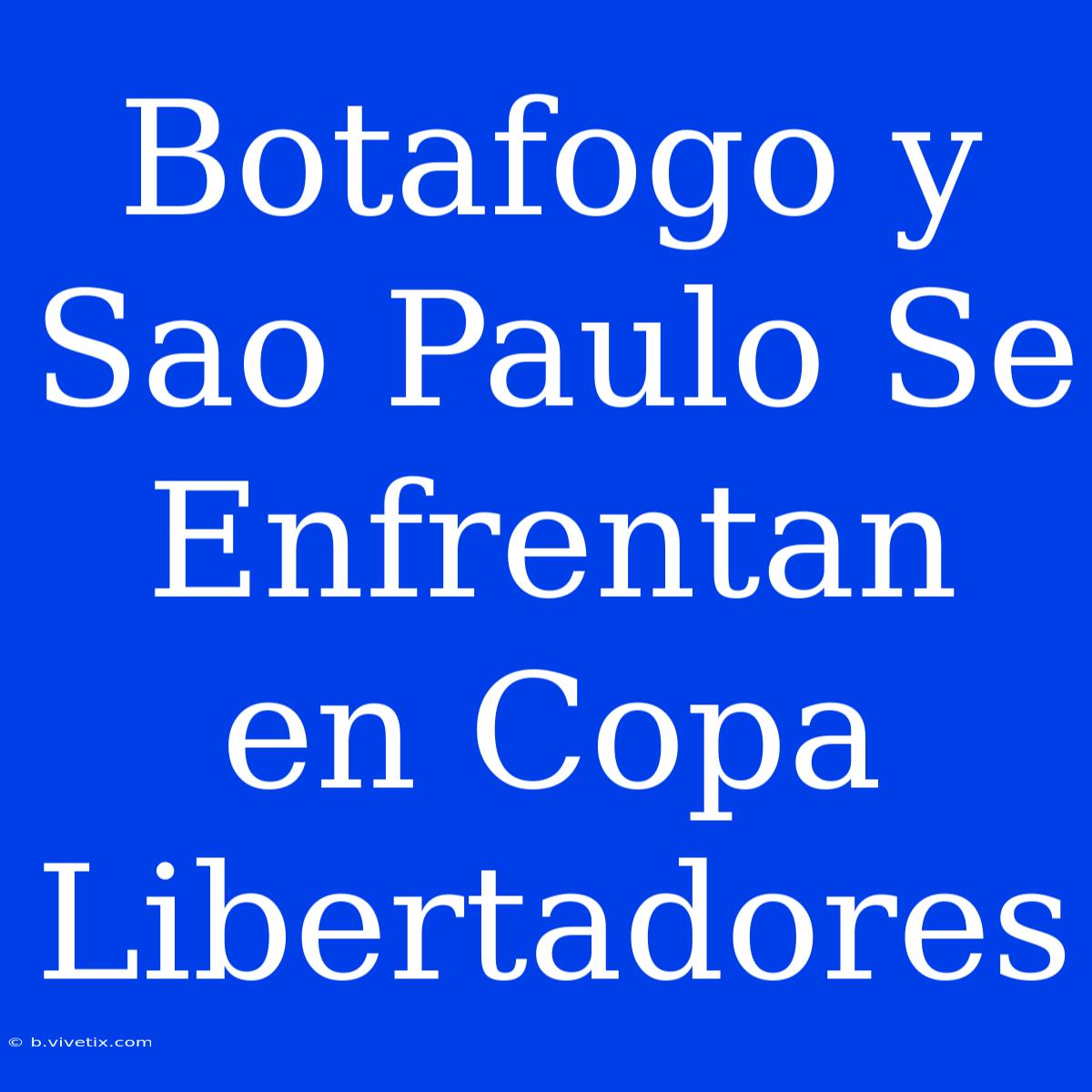 Botafogo Y Sao Paulo Se Enfrentan En Copa Libertadores