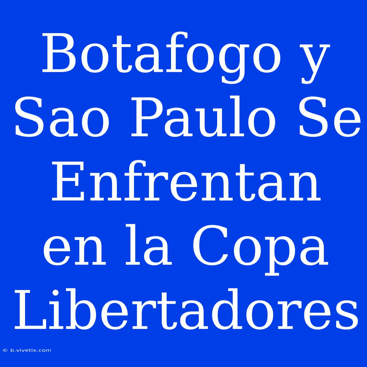 Botafogo Y Sao Paulo Se Enfrentan En La Copa Libertadores