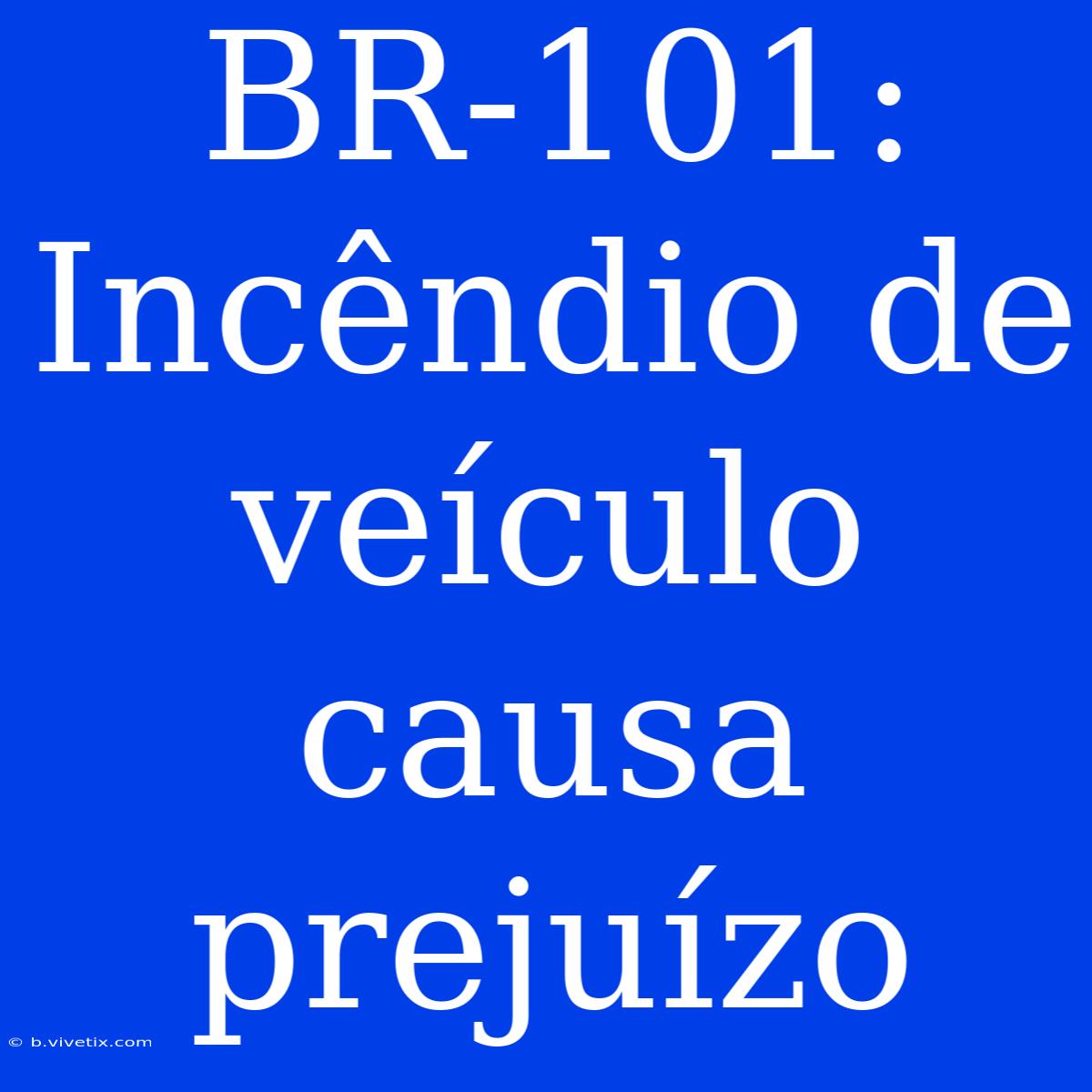 BR-101: Incêndio De Veículo Causa Prejuízo