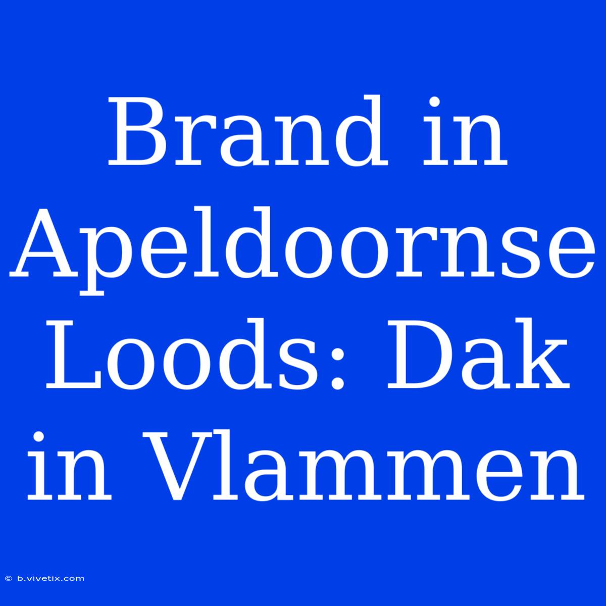 Brand In Apeldoornse Loods: Dak In Vlammen 