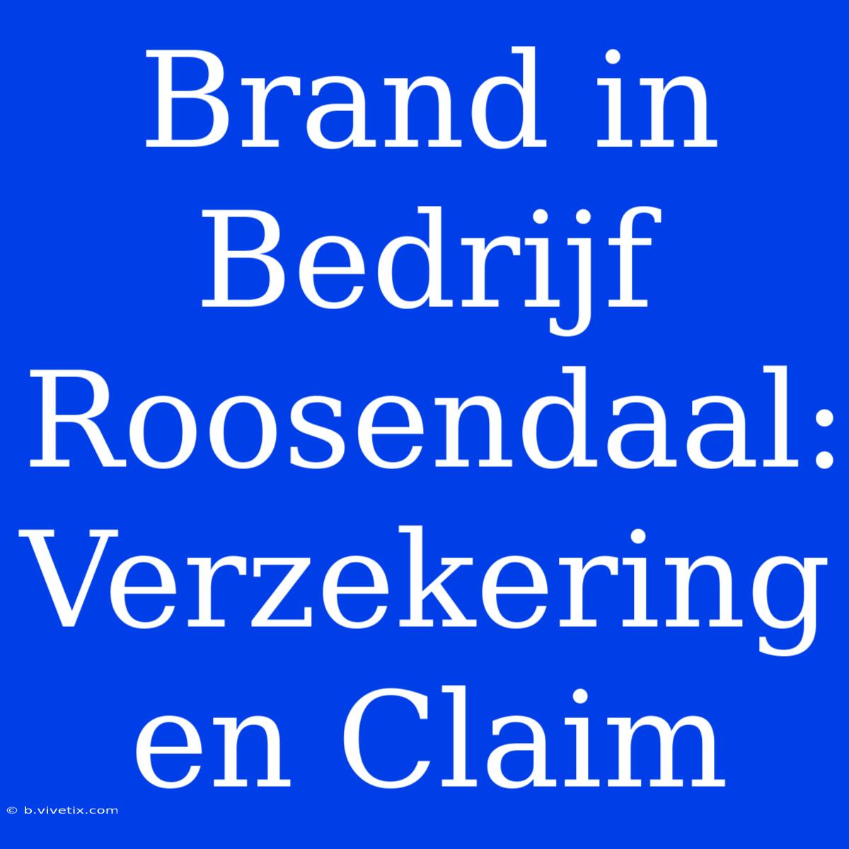 Brand In Bedrijf Roosendaal: Verzekering En Claim