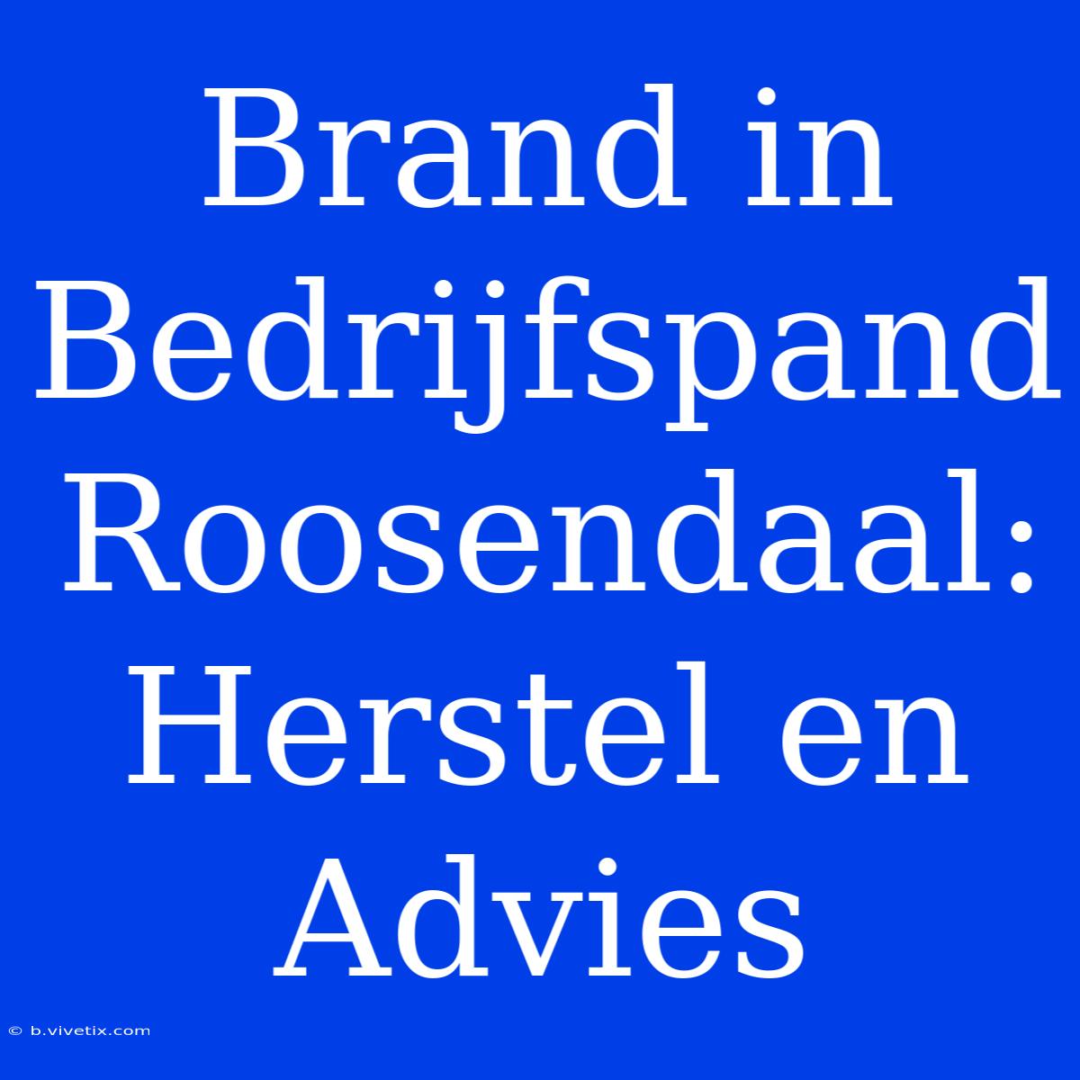 Brand In Bedrijfspand Roosendaal: Herstel En Advies