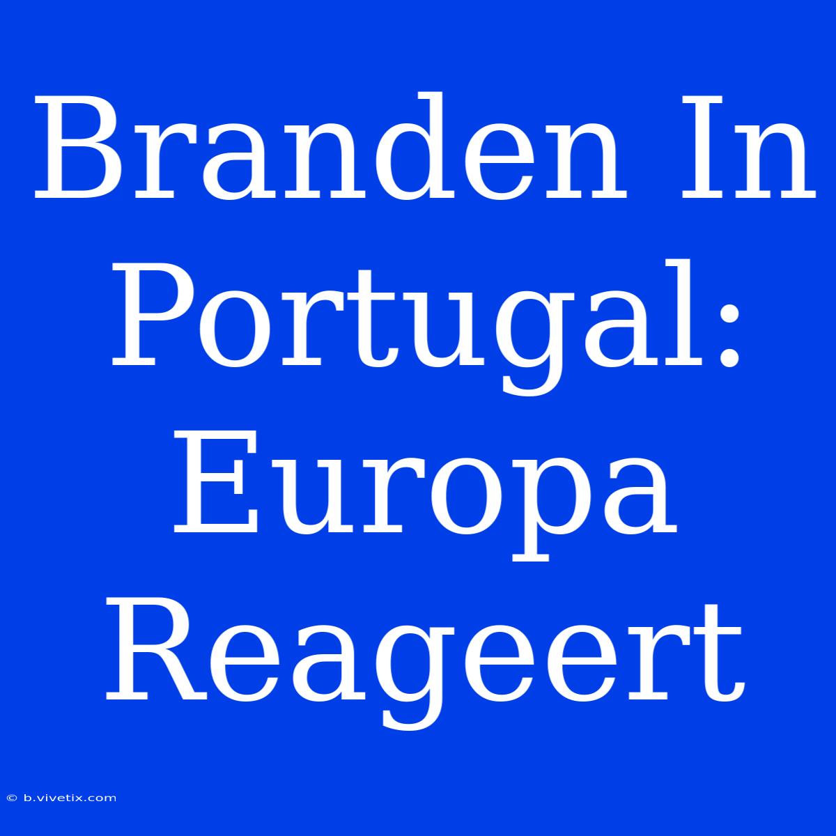 Branden In Portugal: Europa Reageert