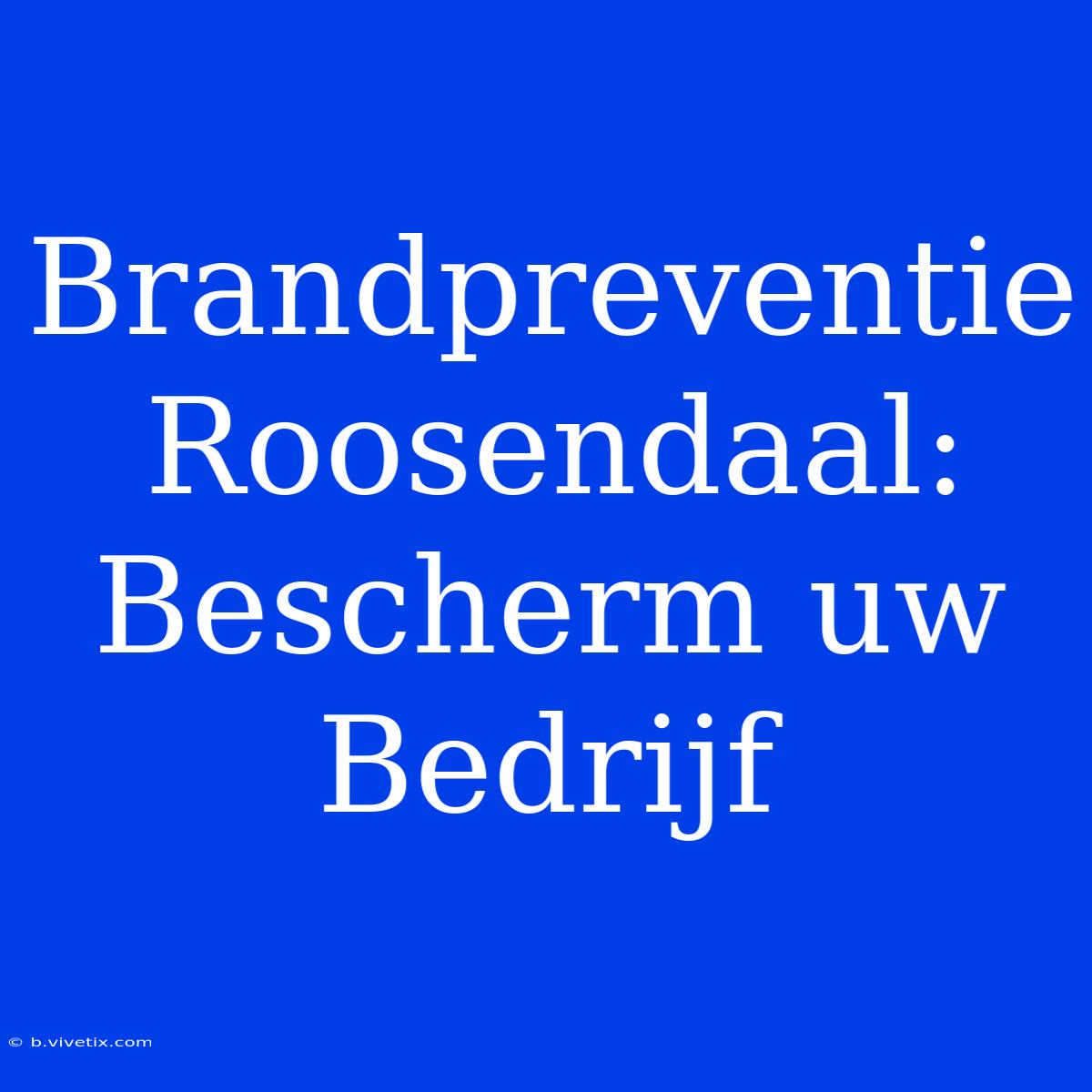 Brandpreventie Roosendaal: Bescherm Uw Bedrijf