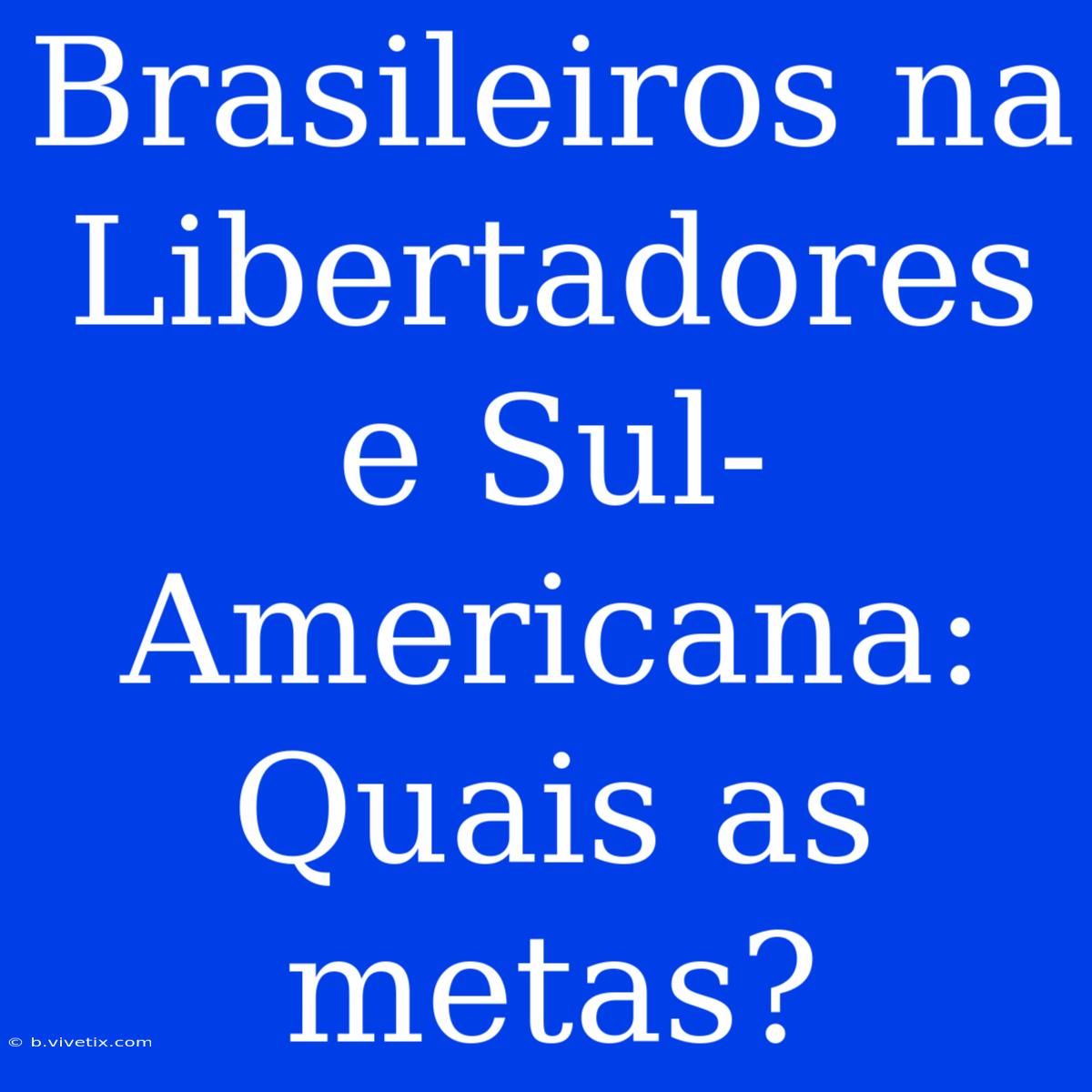 Brasileiros Na Libertadores E Sul-Americana: Quais As Metas?