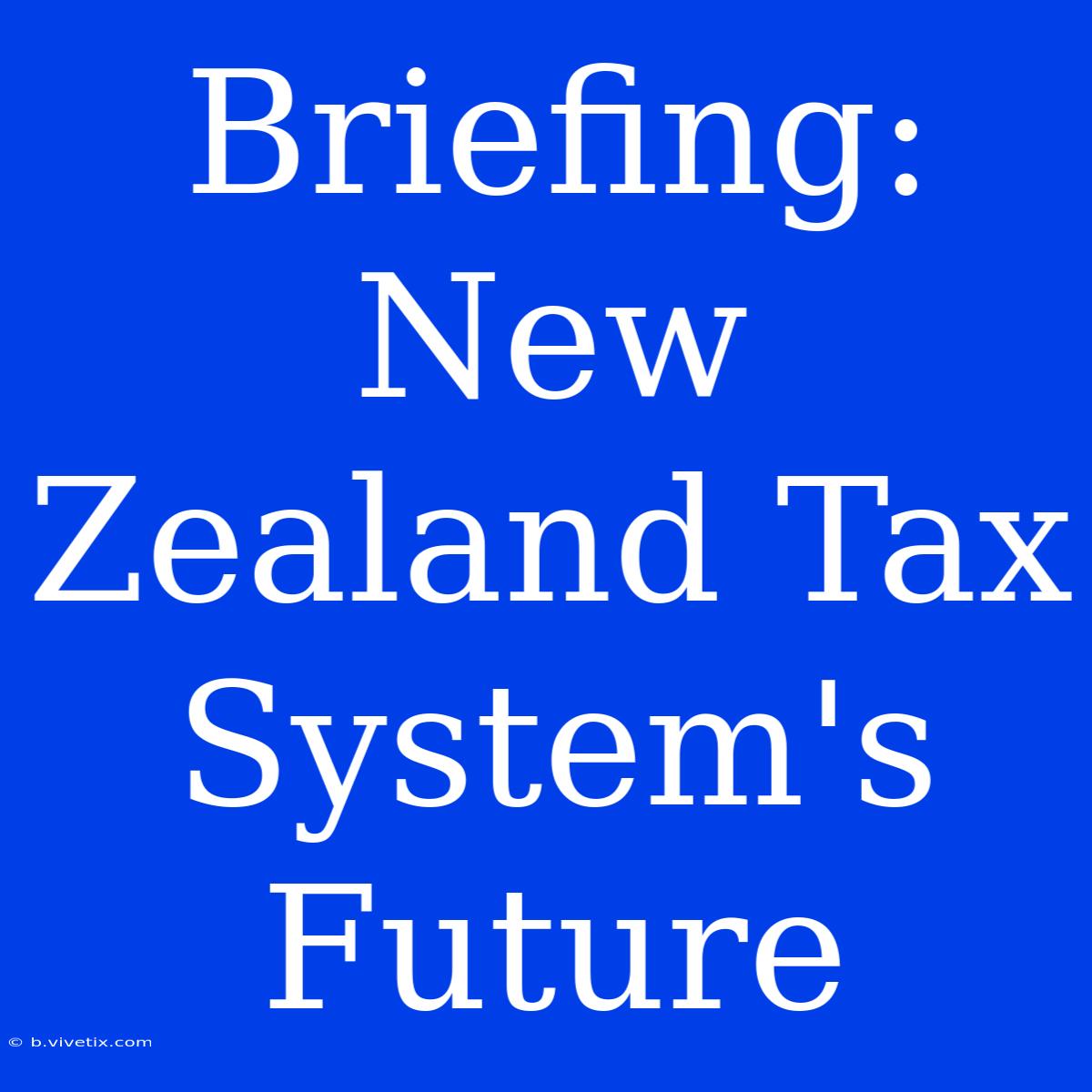 Briefing: New Zealand Tax System's Future