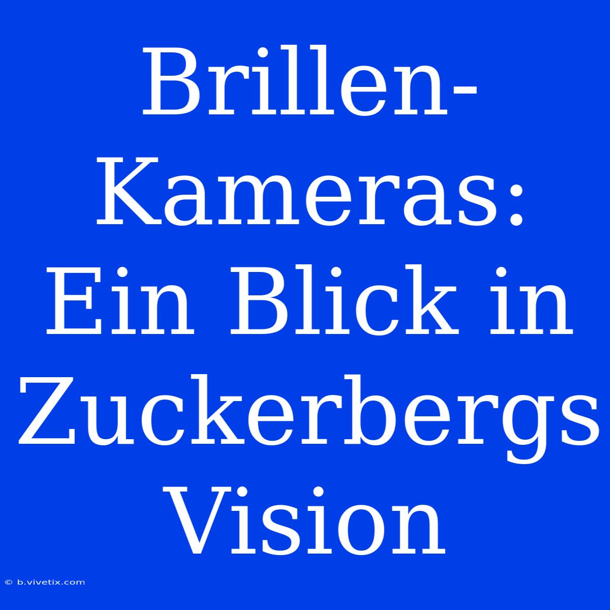 Brillen-Kameras: Ein Blick In Zuckerbergs Vision