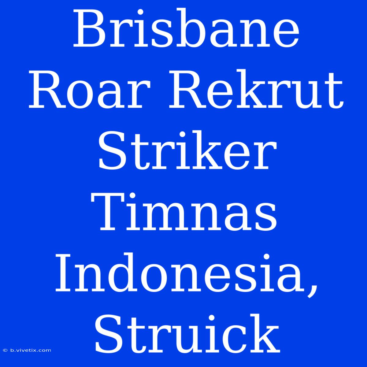 Brisbane Roar Rekrut Striker Timnas Indonesia, Struick 