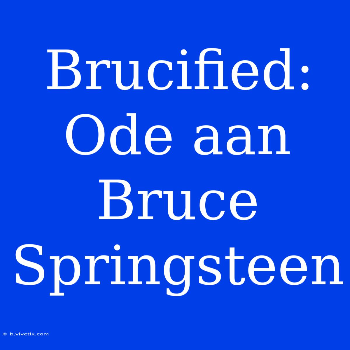 Brucified: Ode Aan Bruce Springsteen