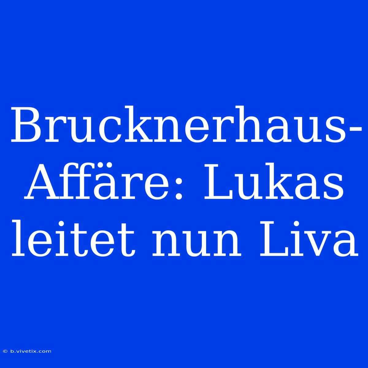 Brucknerhaus-Affäre: Lukas Leitet Nun Liva