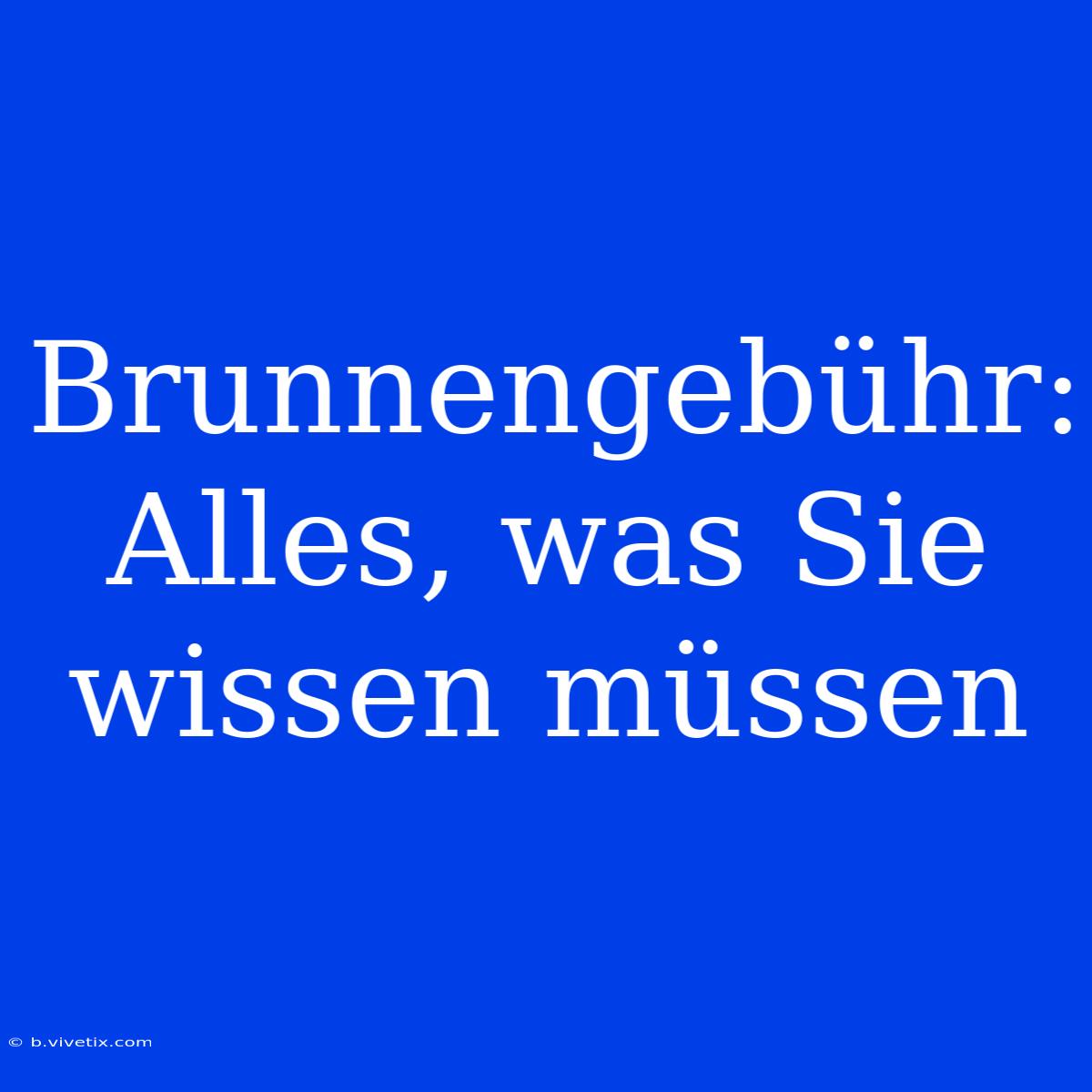 Brunnengebühr: Alles, Was Sie Wissen Müssen