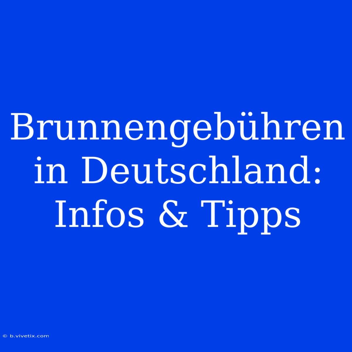 Brunnengebühren In Deutschland: Infos & Tipps