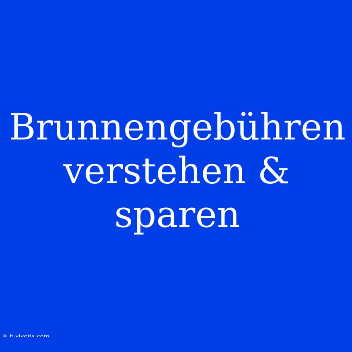 Brunnengebühren Verstehen & Sparen