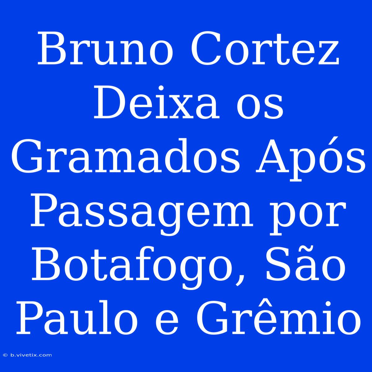 Bruno Cortez Deixa Os Gramados Após Passagem Por Botafogo, São Paulo E Grêmio