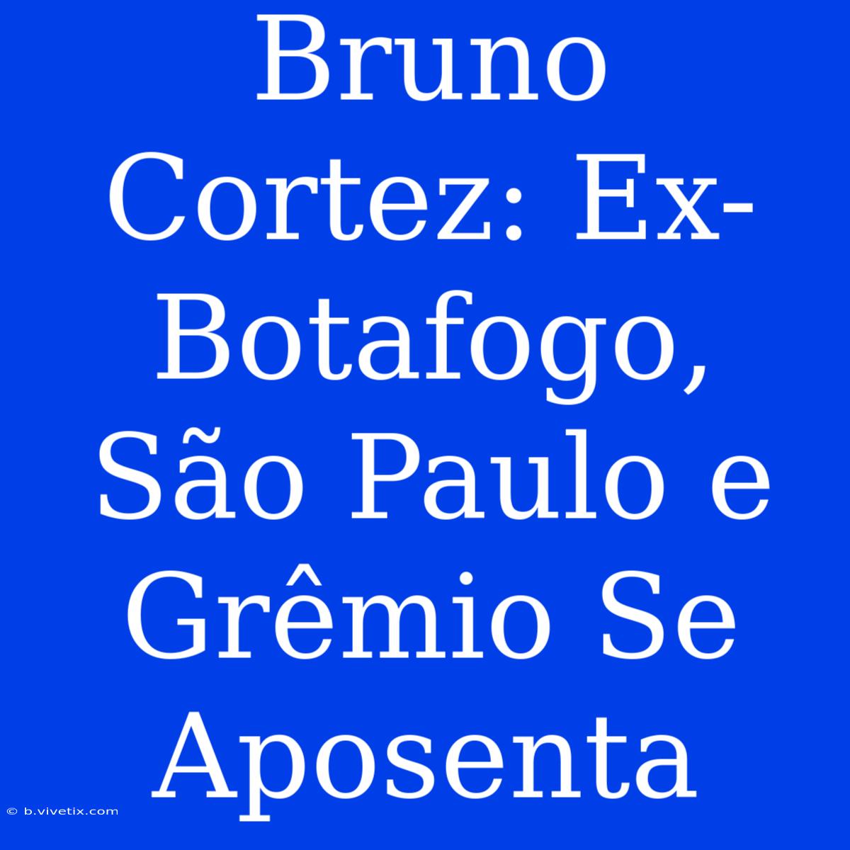 Bruno Cortez: Ex-Botafogo, São Paulo E Grêmio Se Aposenta