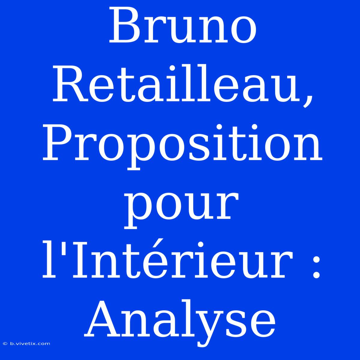 Bruno Retailleau, Proposition Pour L'Intérieur : Analyse